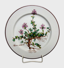 Kuchenteller / Frühstücksteller Villeroy & Boch Botanica sehr guter Zustand