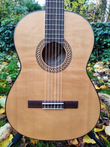 Höfner konzertgitarre hm83 - höfner,