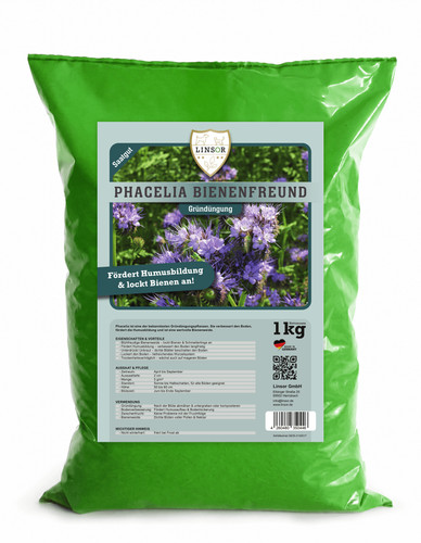 Linsor phacelia gründünger - phacelia,