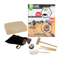 Ausgrabungsset Fossilien Experiment Lernen Kinder Familie Lernspiel 