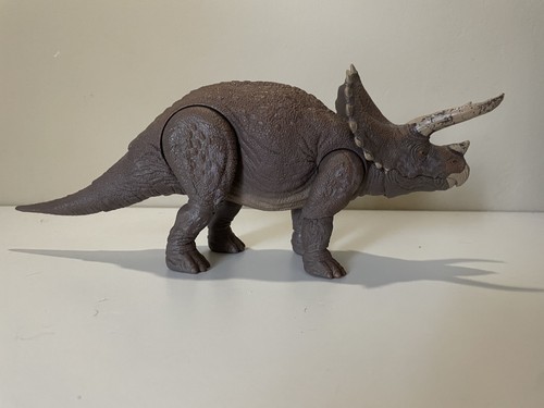 Hammond collection triceratops - collection,