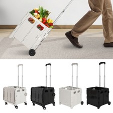 Einkaufstrolley Trolley