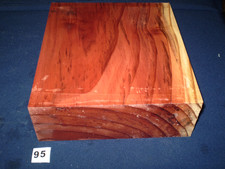 Redwood mammutbaum - redwood,