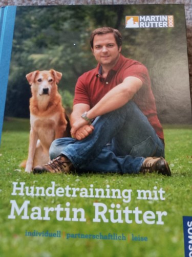 Hundetraining mit martin - hundetraining,