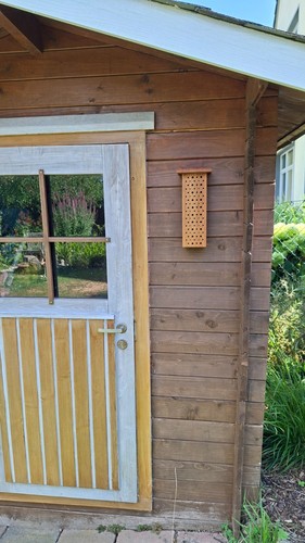 Bienenhotel insektenhotel aus - bienenhotel,,