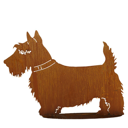 Hund scotch terrier 44x60cm - hund,