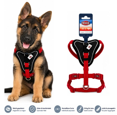 Hundegeschirr gepolstert - hundegeschirr, xs-s