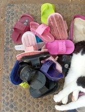 Pferdebürsten gebraucht 