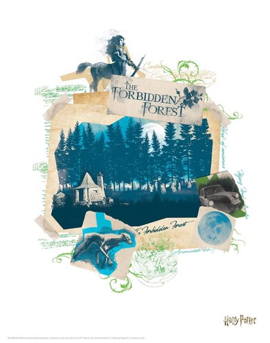 Harry potter kunstdruck - potter,