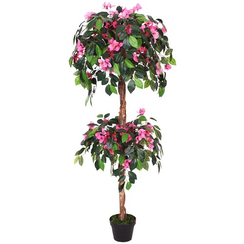 Drillingsblume bougainvillea - drillingsblume,