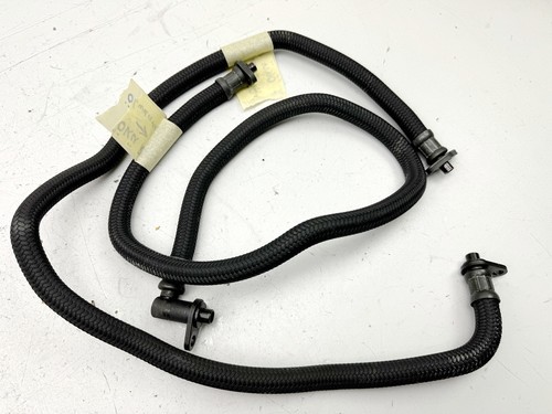 Honda cbr 600 - 600, pc19