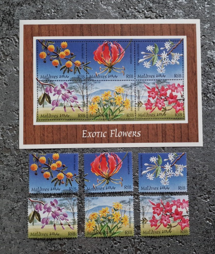 Malediven exotic flowers klb - malediven,,