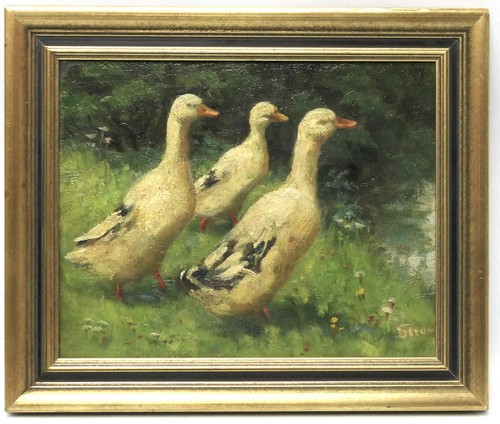 Drei enten grünen sofie - im,