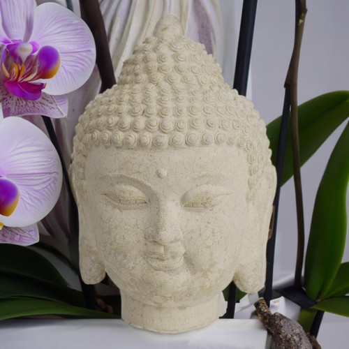 Buddha kopf büste stein - kopf,