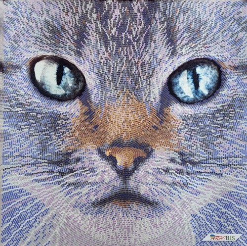 Katze perlen stickset diy - katze,