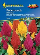 MHD 01.2026      Federnbusch Mischung für Freiland Beete Kübel ca. 50 Samen 3503