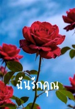 Ich liebe dich - Thai -