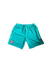 Shorts  Herren  Puma Bermudas