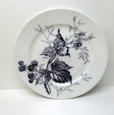 Teller / Speiseteller ca. 24 cm  Villeroy & Boch Rubus/ Brombeere