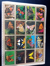 Schmetterlinge  Bogen