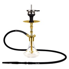 MVP360 Gold transparent mit