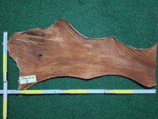 Rindsleder Lederhaut