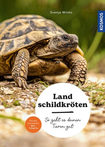 Landschildkröten svenja - landschildkröten,