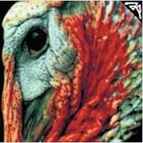 Diverse Kontakte - CD