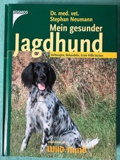 Mein gesunder Jagdhund