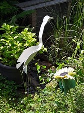 Ein Vogel für den Garten