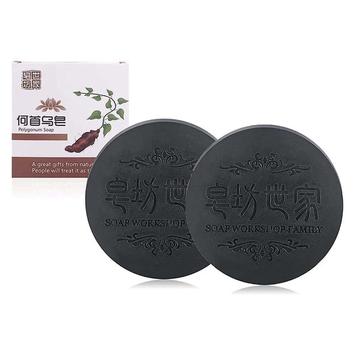 2stk polygonum multiflorum - polygonum,