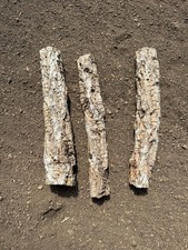 3er Set Korkast Sitzstange 20-25cm lang 3-5cm Durchmesser Naturkork Troncho 