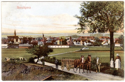 Saulgau gesamtansicht m - saulgau,,