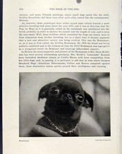 Original alter antiker Druck