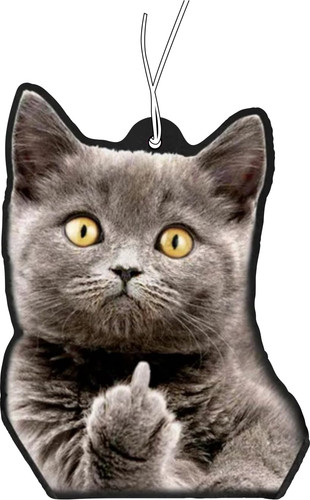 Duftbaum mit katze zeigt - duftbaum,