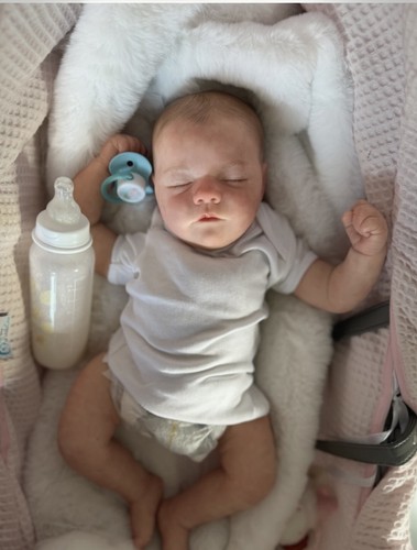 Reborn fake baby lebensechte - fake,