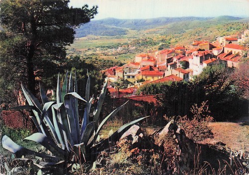 Vallauris somnus pic - somnus,
