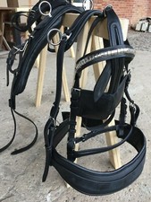 Einspänner 1 Spänner