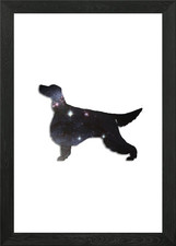 Gorson Setter Gerahmtes