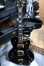 J & D SA 60 Black - Halbakustik Gitarre+ Koffer