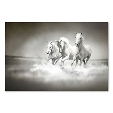 Postereck 0426 poster leinwand - 0426,