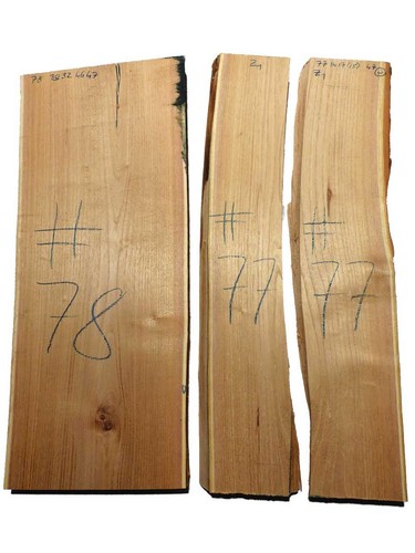 Akazienholz robinie holz - 1x,
