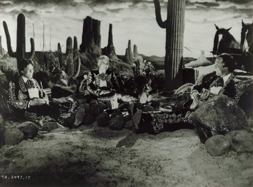 Analoges foto kino - foto,