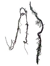 Flexible Dschungel Kletterrebe