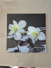 Glasbild mit 2 Orchideenblüten Basaltsteinen Wassertropfen Schwarz Creme Grün
