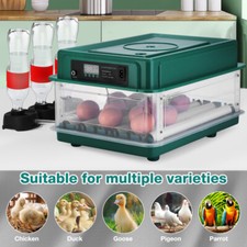 Brutmaschine vollautomatisch - brutmaschine, |