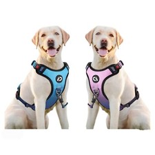 LED Hundegeschirr aufladbar