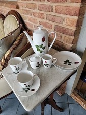 Winterling Bavaria rose