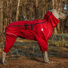 Leichtgewicht Hund Regenmantel