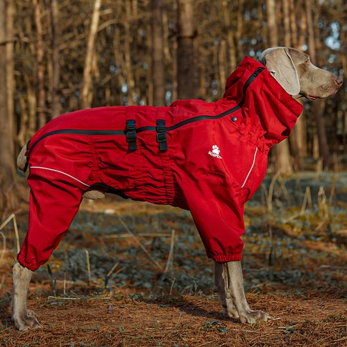 Leichtgewicht hund regenmantel - leichtgewicht,
